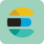 Elastic search